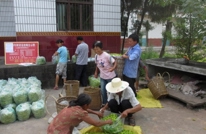 达州日报网：今年 渠县黄花不愁“嫁”了