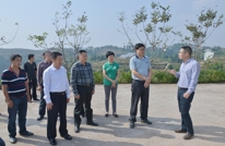 省林业厅厅长尧斯丹到渠调研现代林业工作