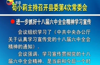 苟小莉主持召开县委第4次常委会