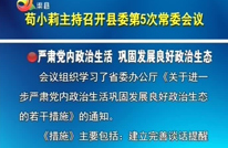 苟小莉主持召开县委第5次常委会议
