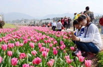 达州日报：渠县万花谷生态观光体验园3月8日“盛装”迎客