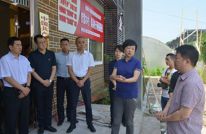 苟小莉调研“互联网+党建”建设工作