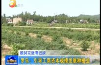 罗乐：引导工商资本规模发展种植业