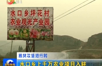 水口乡上千万农业项目入驻