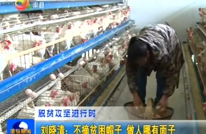 刘晓清：不摘贫困帽子 做人哪有面子