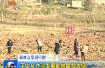 平安乡产业发展助推脱贫攻坚