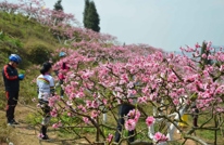 达州日报：渠县便利交通催生乡村旅游热潮