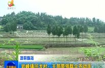 岩峰镇回龙村：支部带领群众齐动手