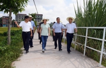 苟小莉率队督导调研环保工作