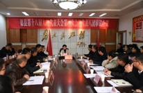 苟小莉参加代表八团审议