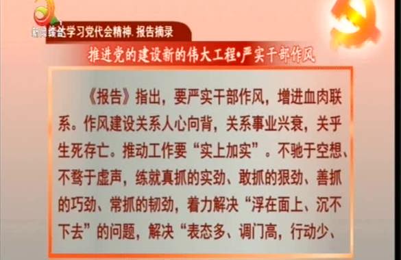 传达学习党代会精神.报告摘录——推进党的建设新的伟大工程.严实干部作风