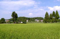 渠县开展土地“增减挂钩”试点