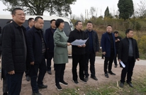 苟小莉调研督导河长制工作