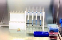 重磅！渠县仅用15天建成核酸检测实验室，6个小时完成检测实现精准防控！