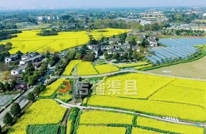 渠县：战疫情忙春耕 不误农时不负春