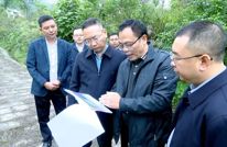 王飞虎调研督导生态环境问题整治工作