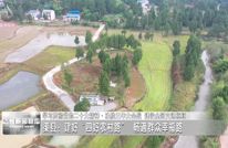 人民号聚焦 | 渠县：建好“四好农村路” 畅通群众幸福路