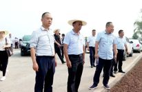 谢华安院士来渠调研再生稻生产