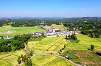 中国农民丰收节 | “听见”丰收 收割机轰鸣声是丰收季最好的赞歌