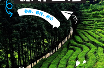 创建天府旅游名县 | 有一种康养，叫在忘忧渠县生活