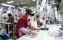 我县聚焦“一首两重” 推动县域经济高质量发展