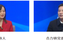 “效率革命”在行动 —— 合力镇：效率革命见真章，落地落实促合力