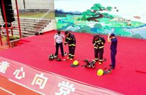 【“5.12”全国防灾减灾日】渠县：防震减灾宣传进校园 上好“应急科普课”