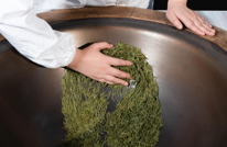 【创建天府旅游名县】爬山、避暑、茶文化体验→这里的夏天醉了心扉