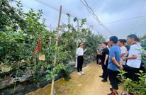 跟着总书记看中国｜山沟沟里日子越过越红火