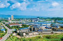 渠县：“三大实践行动”巧解为民题