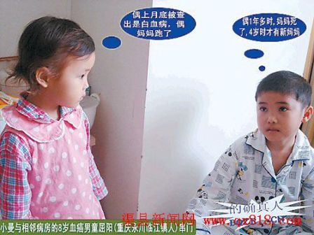 网友苦心导演白血儿“漫画”