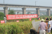 达州市水稻新品种展示现场鉴定会在渠县召开