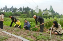 渠南乡干部田间地头听民声