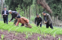 鹤林乡财政所助农春耕实打实