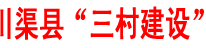 人民网：四川渠县“三村建设”构建新农村