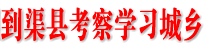 西充县党政考察团到渠县考察学习城乡环境综合治理