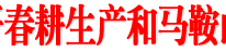 邓瑜华调研春耕生产和马鞍山生态公园规划建设工作