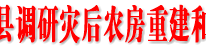 李向志深入渠县调研灾后农房重建和农业生产自救工作