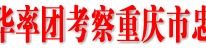 杨钢、邓瑜华率团考察重庆市忠县城市建设