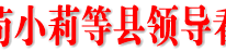 邓瑜华、苟小莉等县领导看望参会党代表