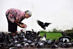 万绍荣摄影作品