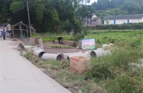 李馥一校治理学校周边环境成效显著