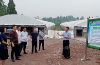 合力镇拉练比拼，促产业发展助乡村振兴