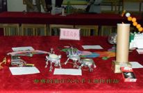 渠江六小参加渠县27届青少年科技创新大赛