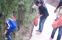 蔡和学校开展“弯腰在上学路上”活动