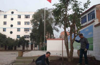 望溪一小：根植黄桷树 放飞新梦想