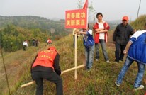 县团委组织共青团员到拱市乡义务植树