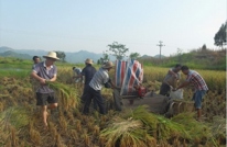 白兔乡：解民忧 稻田里话真情