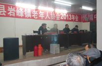 岩峰镇召开老协2013年年会