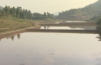 万寿乡：千亩观光农业基地 构画田园生态美景